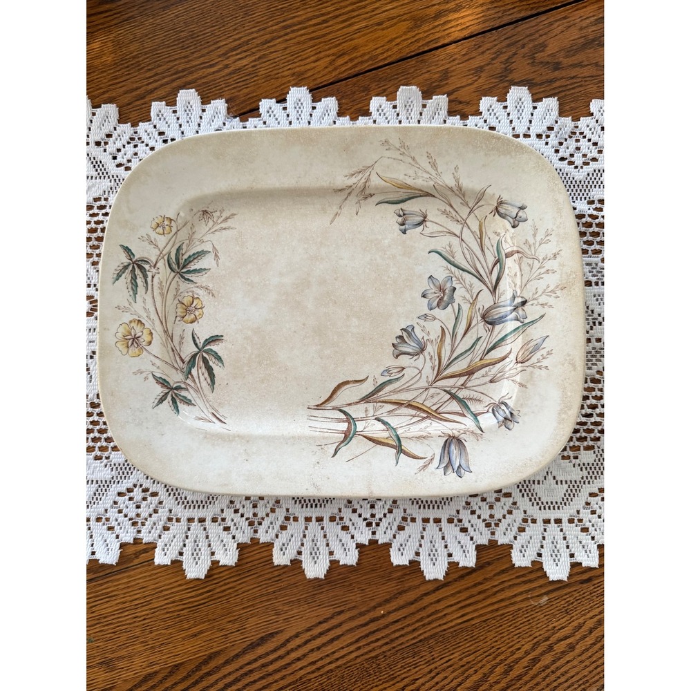 Ashworth Brothers 'Albert' English‎ Ironstone Platter 19th Century 15.5" Crazing